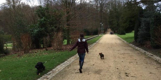 Laisse-moi promener Havana