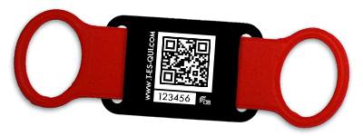 Promenade de chien à Bruxelles, Dog Walking, Cat Sitting