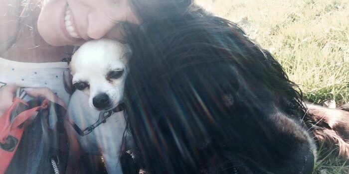 le blog des animaux domestique