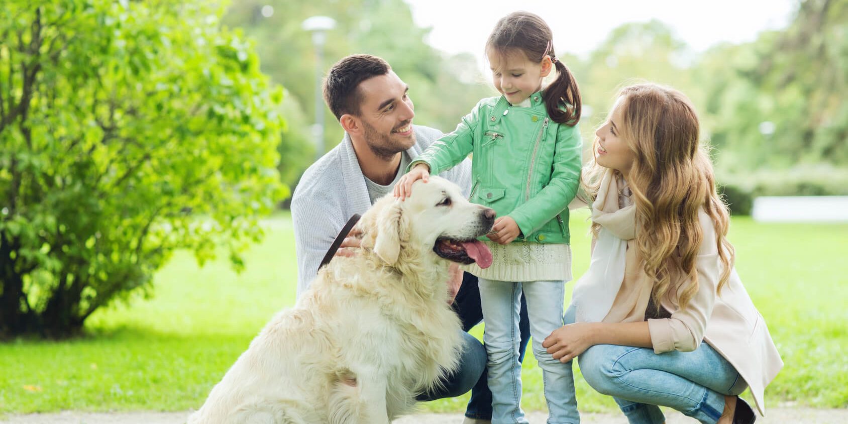 Offrir un animal, Conseils de vétérinaires