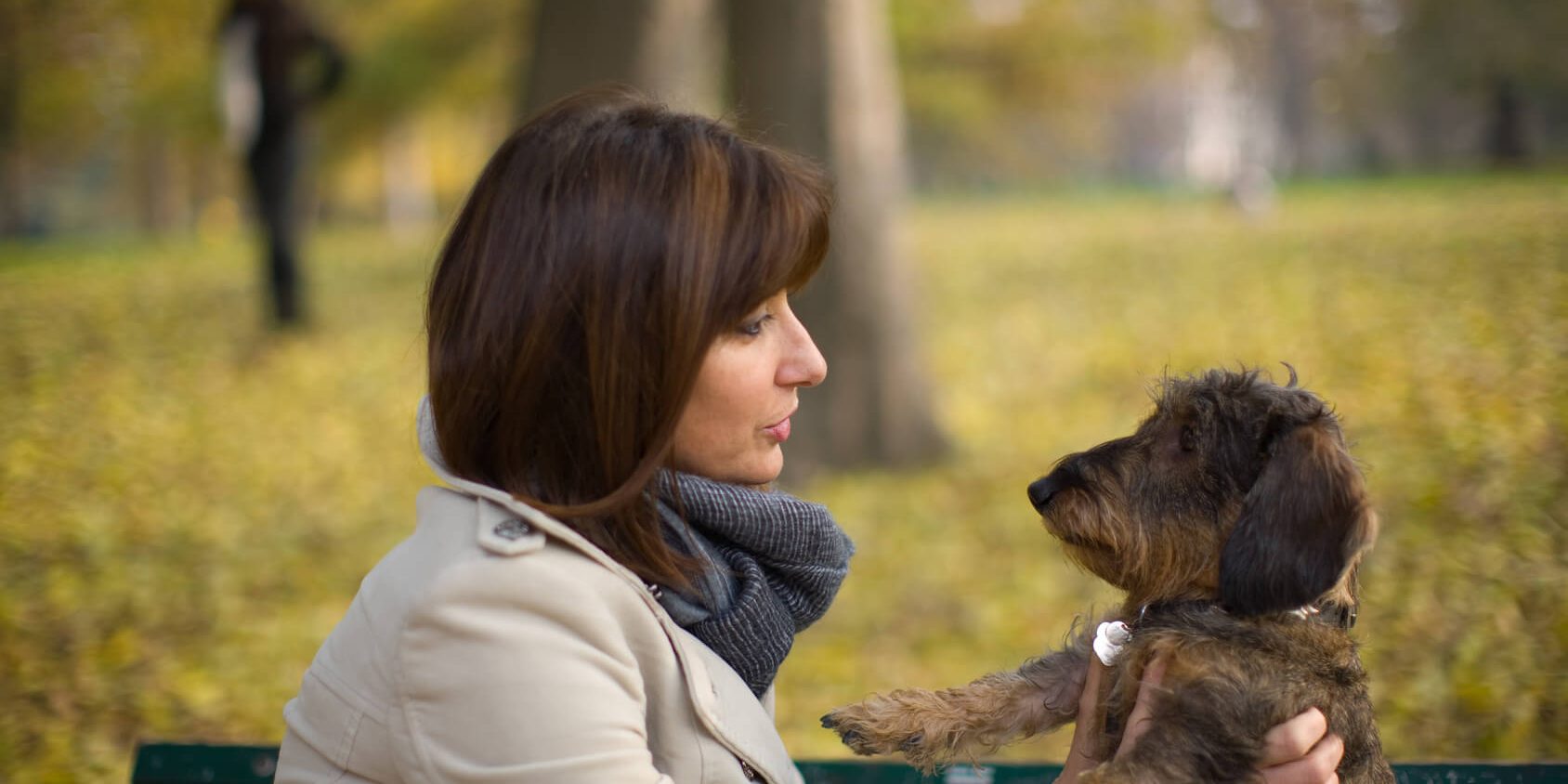 le blog des animaux domestique