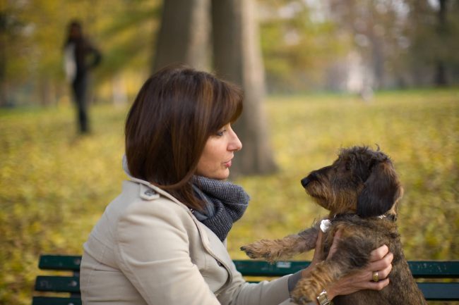 le blog des animaux domestique
