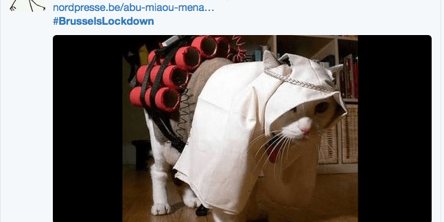 le blog des animaux domestique