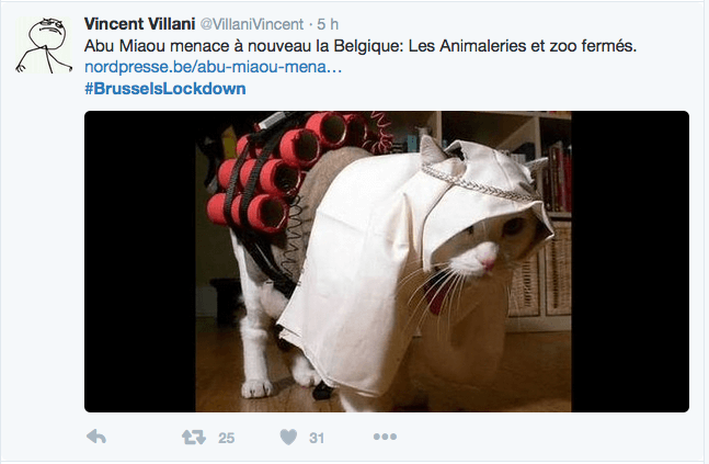 le blog des animaux domestique