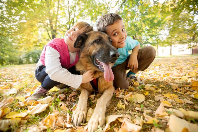 le blog des animaux domestique