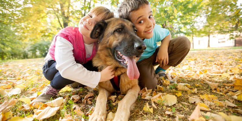 chien-enfant le blog des animaux domestique