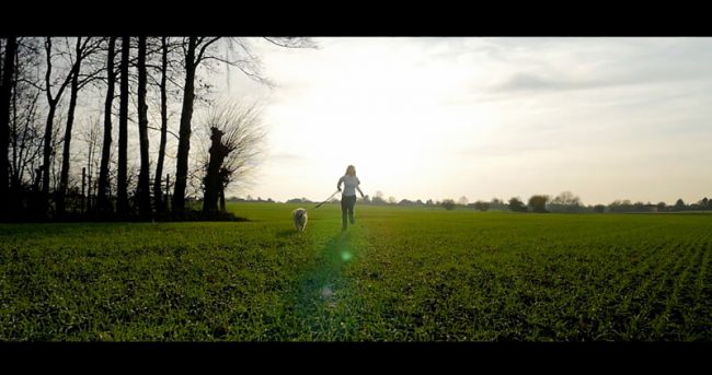 le blog des animaux domestique