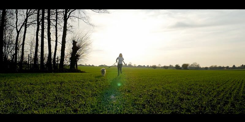 le blog des animaux domestique