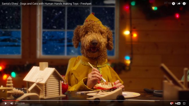 le blog des animaux domestiques