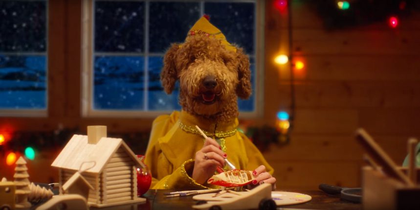 le blog des animaux domestiques