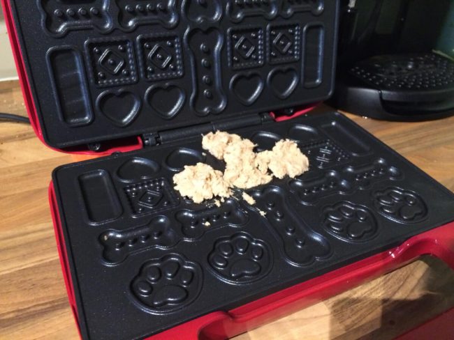 le blog des animaux domestique