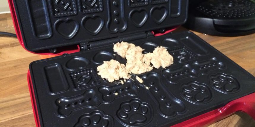 le blog des animaux domestique