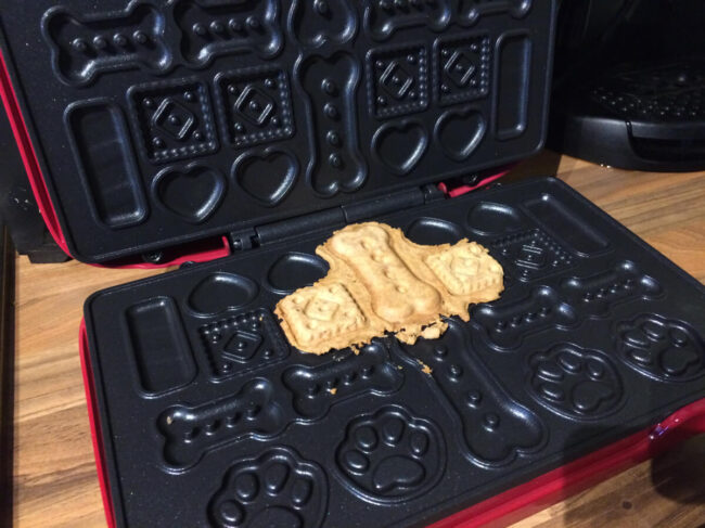 le blog des animaux domestique