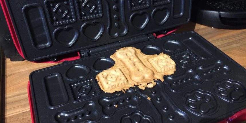 le blog des animaux domestique