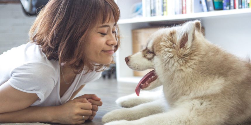 Education du chien, conseil du bloblog