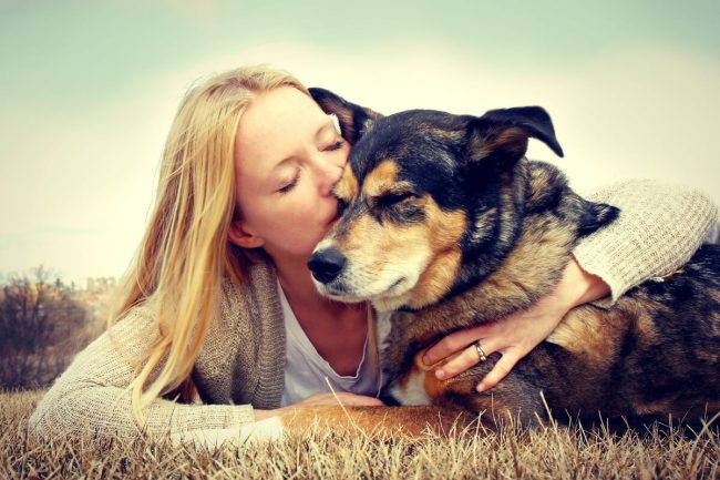 relations-chiens-humains le blog des animaux domestique