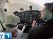 un chien pilote sur le bloblog