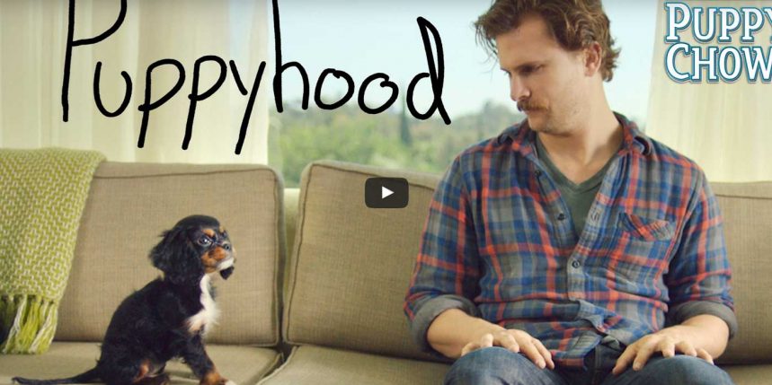 purina sur le bloblog