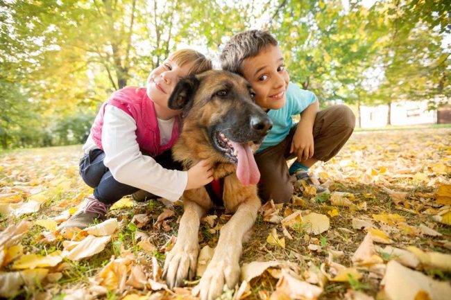 chiens-et-enfants le comportement des chients et des enfants