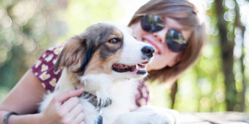 Le chien l'ami des humains sur le bloblog