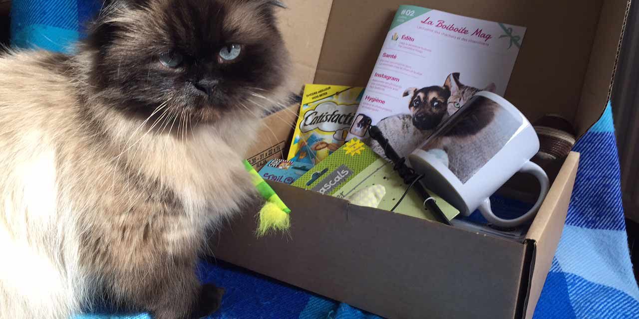 boiboite-pour-chat5 merci pour laboiboite de juillet :)