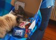 Le contenu de la box cadeau pour chats du mois de septembre : Que des surprises !