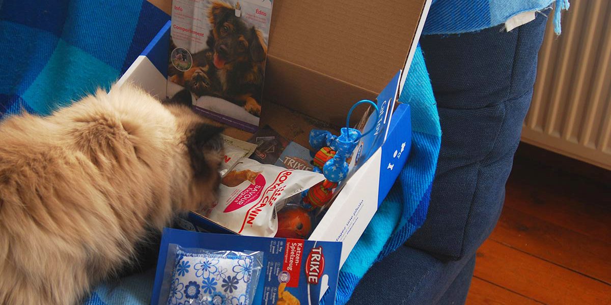Le contenu de la box cadeau pour chats du mois de septembre : Que des surprises !