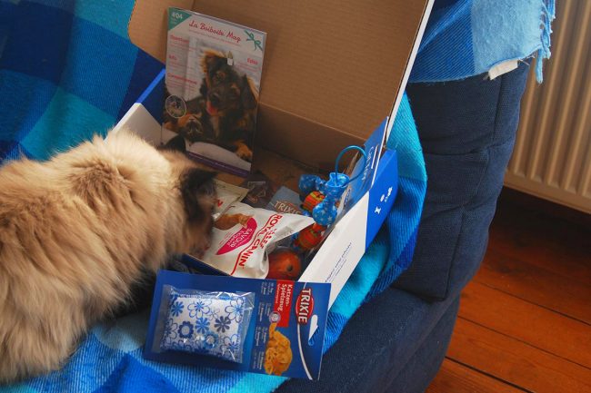 Jouets, alimentation, produits d’hygiène, magazine se trouvent dans la boite cadeau pour chats Le contenu de la box cadeau pour chats du mois de septembre : Que des surprises !