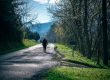 Comment promener son chien