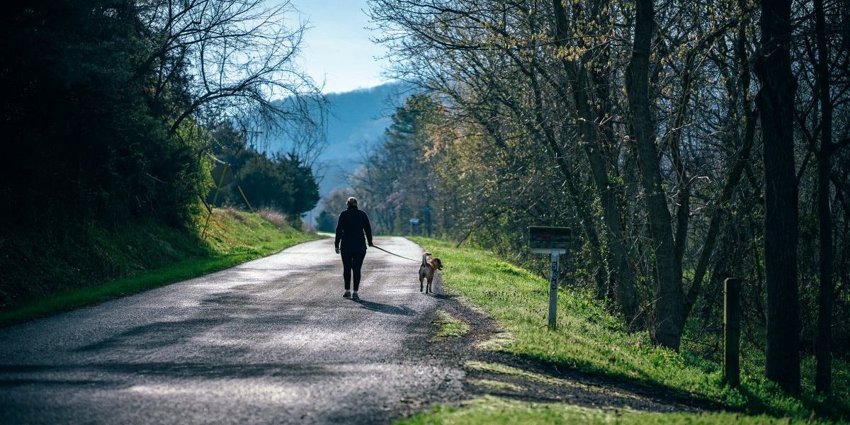 Comment promener son chien