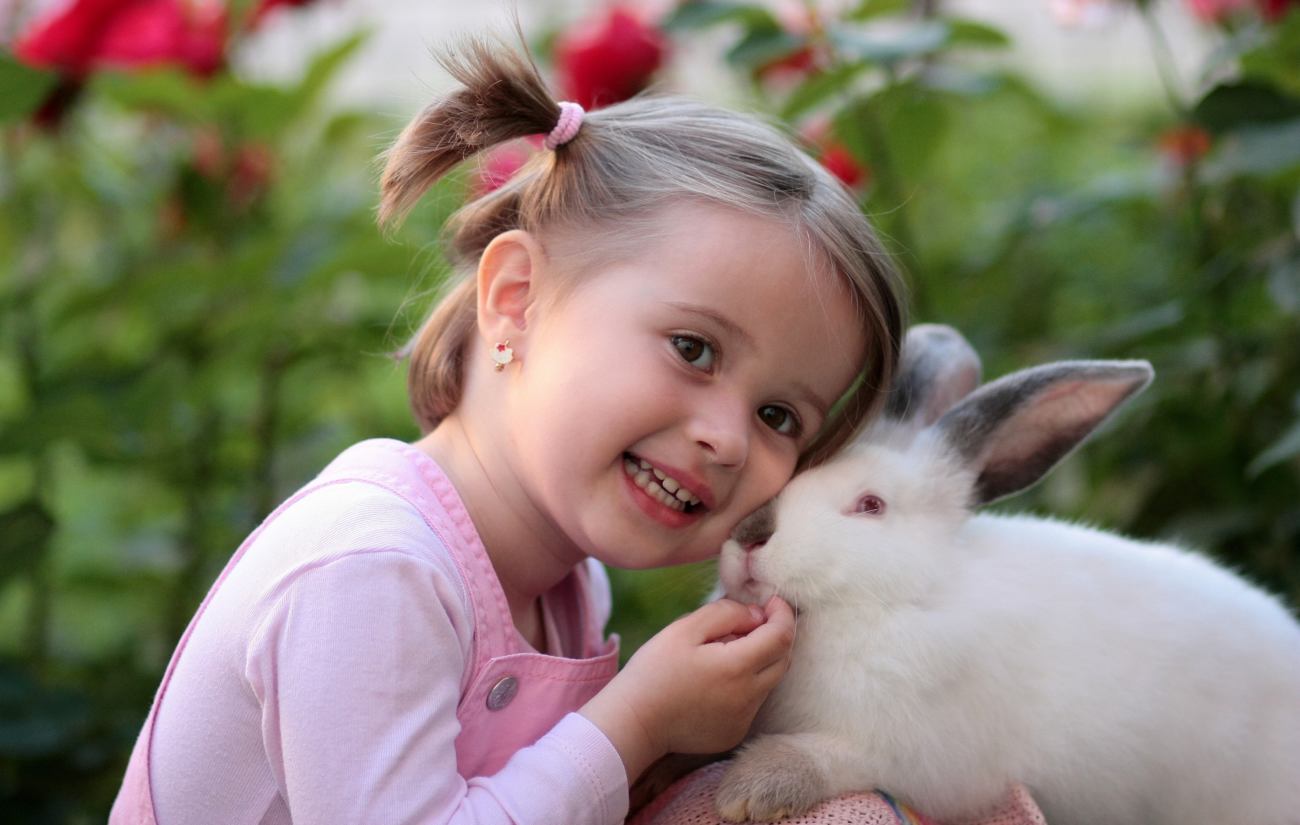 Médiation animal lapin
