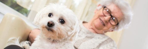 canidia Chien pour personne agée