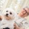 Chien pour personne agée