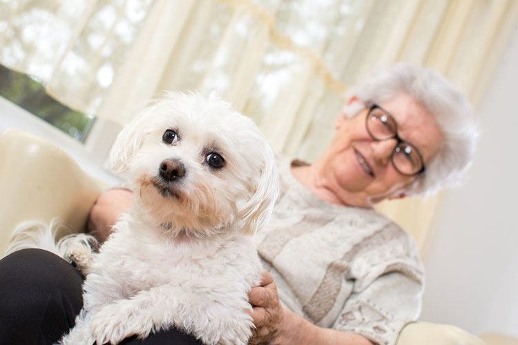canidia Chien pour personne agée