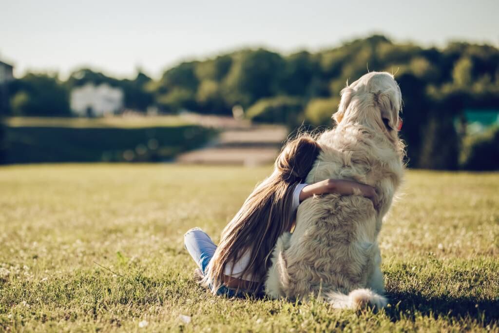 Gros chien doux et protecteur